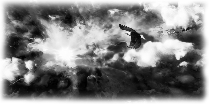 Fine Art Limited Editions